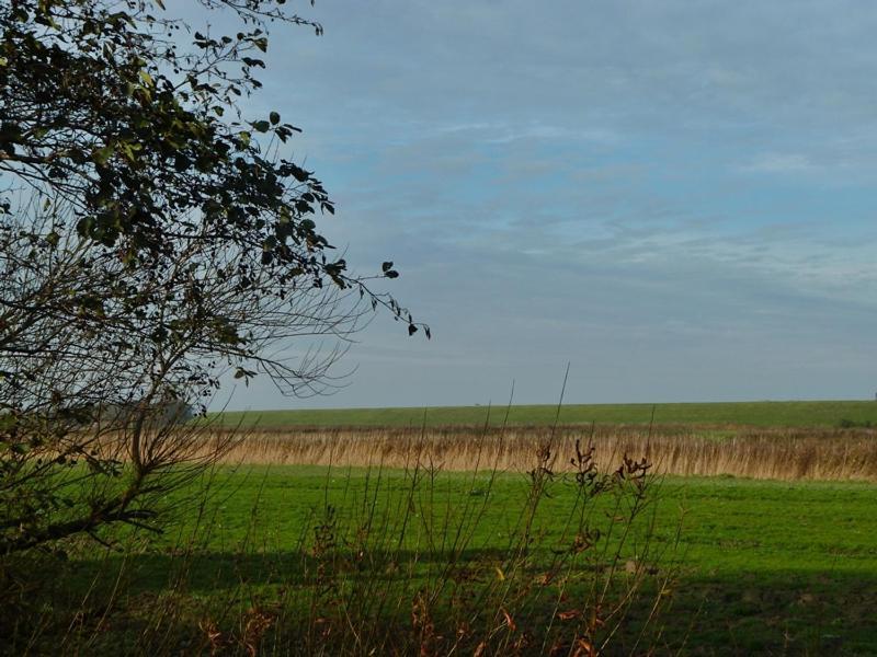 Deichbrise Villa Greetsiel Exterior foto